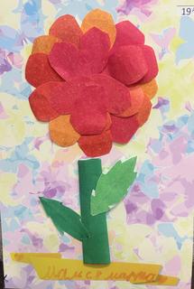 101 Морозова Кира